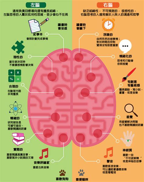 右腦適合工作|【右腦適合工作】「右腦」閃耀，最適合從事哪些職業？